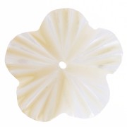 15mm Mother of Pearl Flowers - Natural x10|raw }}