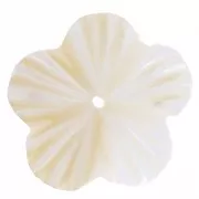 15mm Mother of Pearl Flowers - Natural x10