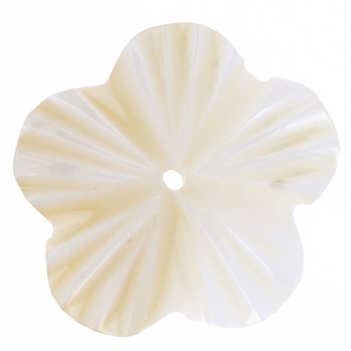 15mm Mother of Pearl Flowers - Natural x10
