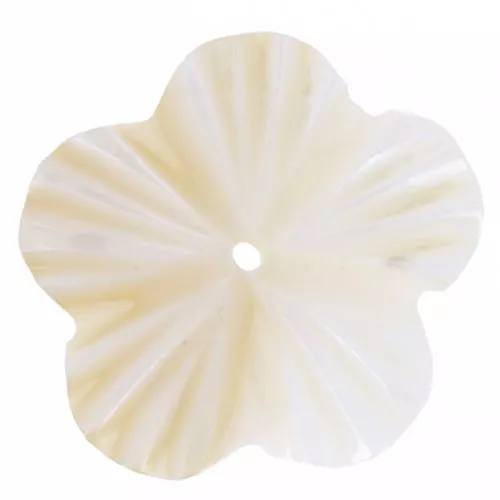 15mm Mother of Pearl Flowers - Natural x10
