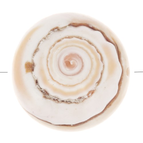 17mm Shell Bead - Natural x1
