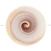 17mm Shell Bead - Natural x1