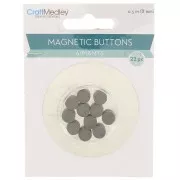 8mm Round magnets x22