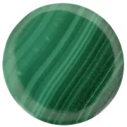 10mm Round flat cabochon - pallet - gemstone - Malachite x1
