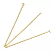 Flat head nails 25x0.7 mm - 304L Gold-plated stainless steel x6