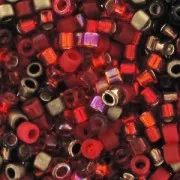 Mix Miyuki Delica 11/0 - Magma x8g