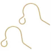 10mm Gold filled Earwires x2