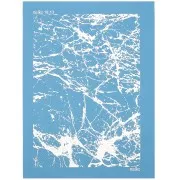 74x105mm Moiko Silk Screen for Polymer clay - Marbled pattern 18.13 x1