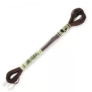 DMC Mouliné Effet Lumière Copper-Colored Embroidery Thread (E898) x 8 m