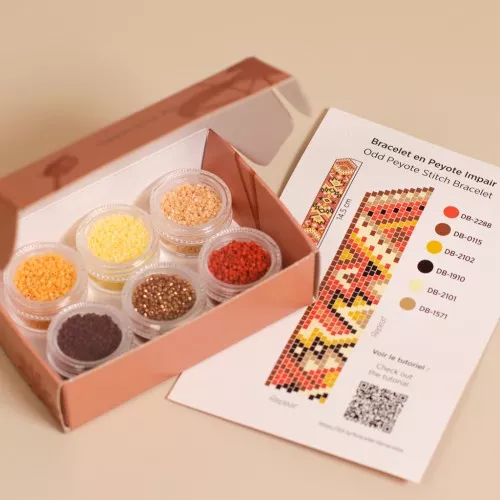 Miyuki Beads Kit By Perles & Co - Miyuki Delica 11/0 Terracotta Mix x1