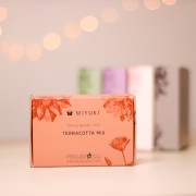 Miyuki Beads Kit By Perles & Co - Miyuki Delica 11/0 Terracotta Mix x1