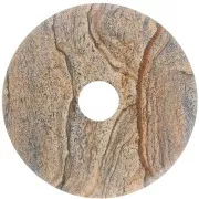 Donut 50mm Picture Jasper x1