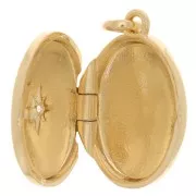 20x15mm Photo Frame Pendant with zirconium oxide - 3 Micron Gold Plated x1