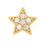 5mm Star Pendant with zirconium oxide - Gold Tone - Crystal x1|raw }}