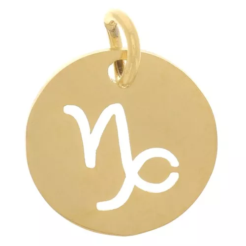 12mm 304 Stainless Steel Round charm - Capricorn zodiac sign - Gold Tone x1