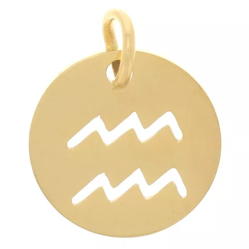 12mm 304 Stainless Steel Round charm - Aquarius zodiac sign - Gold Tone x1