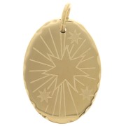 18x13mm 304 Stainless Steel Oval pendant decorated with Star - Gold Tone x1|raw }}