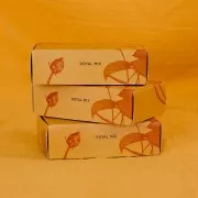 Miyuki Beads Kit By Perles & Co - Miyuki Delica 11/0 Royal Mix x1