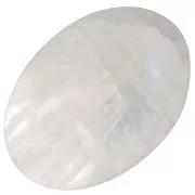 14x10mm Oval engraved scarab bead in gemstone - Moonstone x1