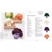 Creative Bubble - Veggie - Book in FRENCH x1