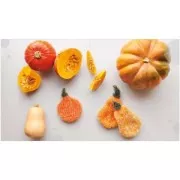 Creative Bubble - Veggie - Book in FRENCH x1