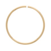 20x1mm Gold filled Open jump ring x1|raw }}