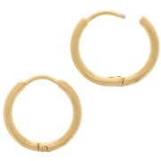 16mm 304L Stainless Steel Round leverback hoop earrings - Gold Tone x2|raw }}