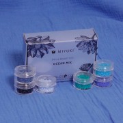 Miyuki Beads Kit By Perles & Co - Miyuki Delica 11/0 Ocean Mix x1