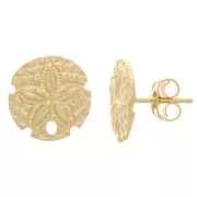 12mm Sand dollar earstuds with hole - Fine Gold plated x2
