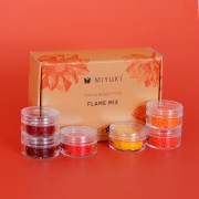 Miyuki Beads Kit By Perles & Co - Miyuki Delica 11/0 Flame Mix x1