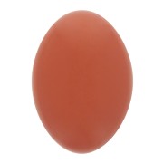 14x10mm Oval opaque resin cabochon - Terracotta x1|raw }}