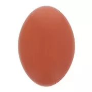 14x10mm Oval opaque resin cabochon - Terracotta x1