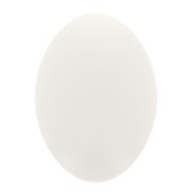 14x10mm Oval opaque resin cabochon - Ivory x1