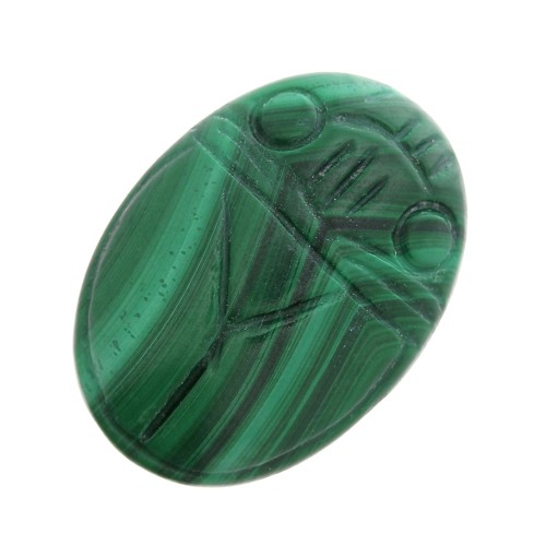 18x13mm Oval engraved beetle cabochon in gemstone - Malachite x1