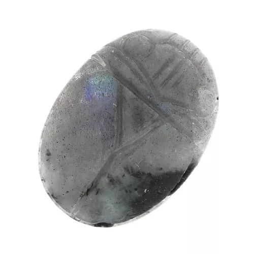 18x13mm Oval engraved beetle cabochon in gemstone - Labradorite x1