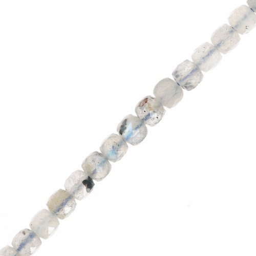 4.5x4.5mm Faceted cube gemstone beads - Labradorite x10
