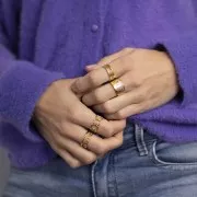 Stainless steel 304 Adjustable geometric ring - Gold Tone x1