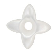 10mm Mother of Pearl North Star Bead - Natural x1