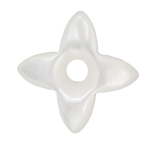 10mm Mother of Pearl North Star Bead - Natural x1