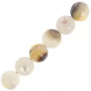 6mm Mother of Pearl Round Beads - Natural x25