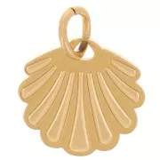 9x10mm Stainless Steel 316L Shell Charm - Gold Tone x1