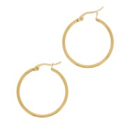 30mm Stainless Steel 304 hoop earrings - Gold Tone x2