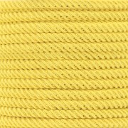 3mm Braided polyester cord and metallic thread - Yellow - Gold x1m|raw }}