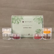 Miyuki By Perles & Co Beads Kit - Miyuki Delica 11/0 Gypsy Mix x1