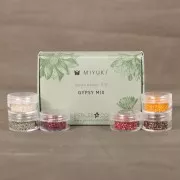 Miyuki By Perles & Co Beads Kit - Miyuki Delica 11/0 Gypsy Mix x1
