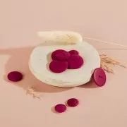 15mm Sewing button in vegetable ivory - Atelier Brunette - Palm - Dahlia x1