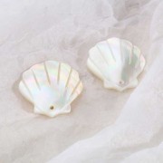 Shell pendant 25x23 mm in mother-of-pearl - Natural x2