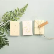 Melt and pour soap - Honey x100g