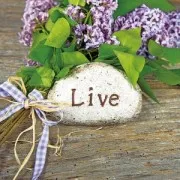 Cordless rotary tool with 6 bits for engraving, grinding and sanding x1