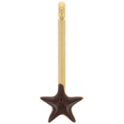 28x10mm Pendant bar with star and epoxy resin - Gold plated - Brown x1|raw }}